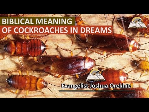 Biblical Meaning of Killing Cockroaches in Dreams  